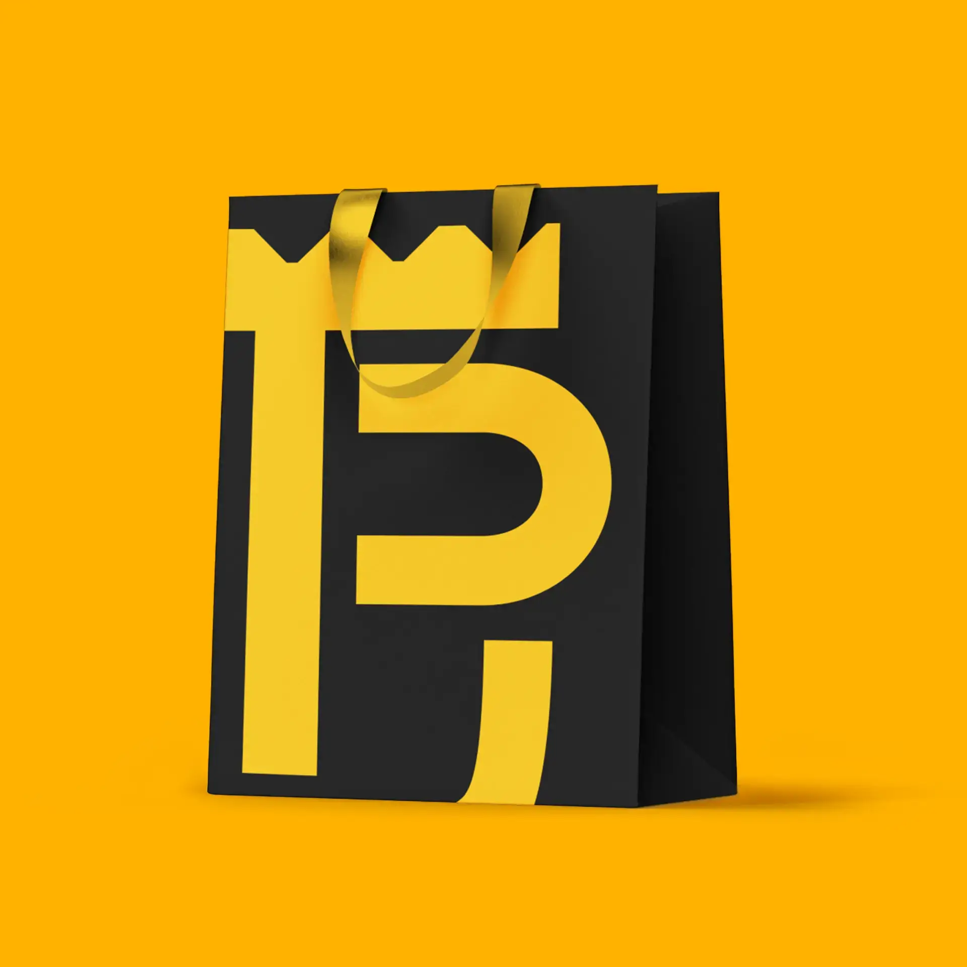 Project image 6